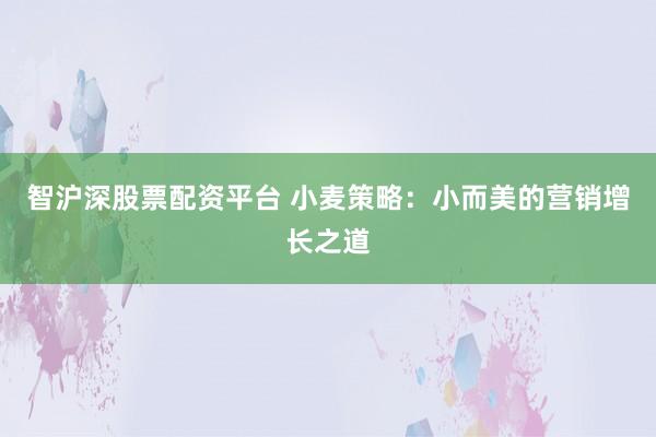 智沪深股票配资平台 小麦策略：小而美的营销增长之道
