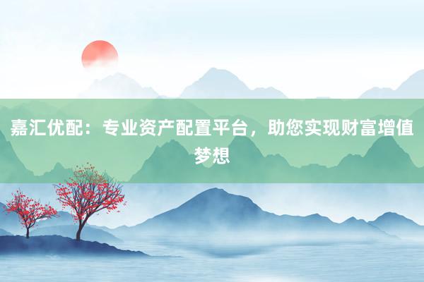 嘉汇优配：专业资产配置平台，助您实现财富增值梦想