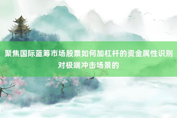 聚焦国际蓝筹市场股票如何加杠杆的资金属性识别对极端冲击场景的