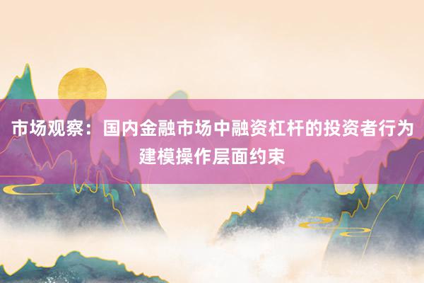 市场观察：国内金融市场中融资杠杆的投资者行为建模操作层面约束