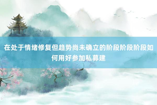在处于情绪修复但趋势尚未确立的阶段阶段阶段如何用好参加私募建