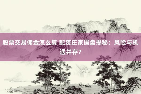股票交易佣金怎么算 配资庄家操盘揭秘：风险与机遇并存？